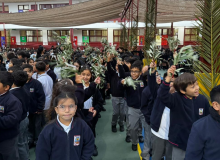 DOMINGO DE RAMOS 2026