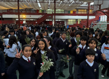 DOMINGO DE RAMOS 2026