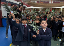 DOMINGO DE RAMOS 2026