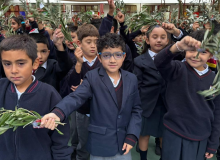 DOMINGO DE RAMOS 2026